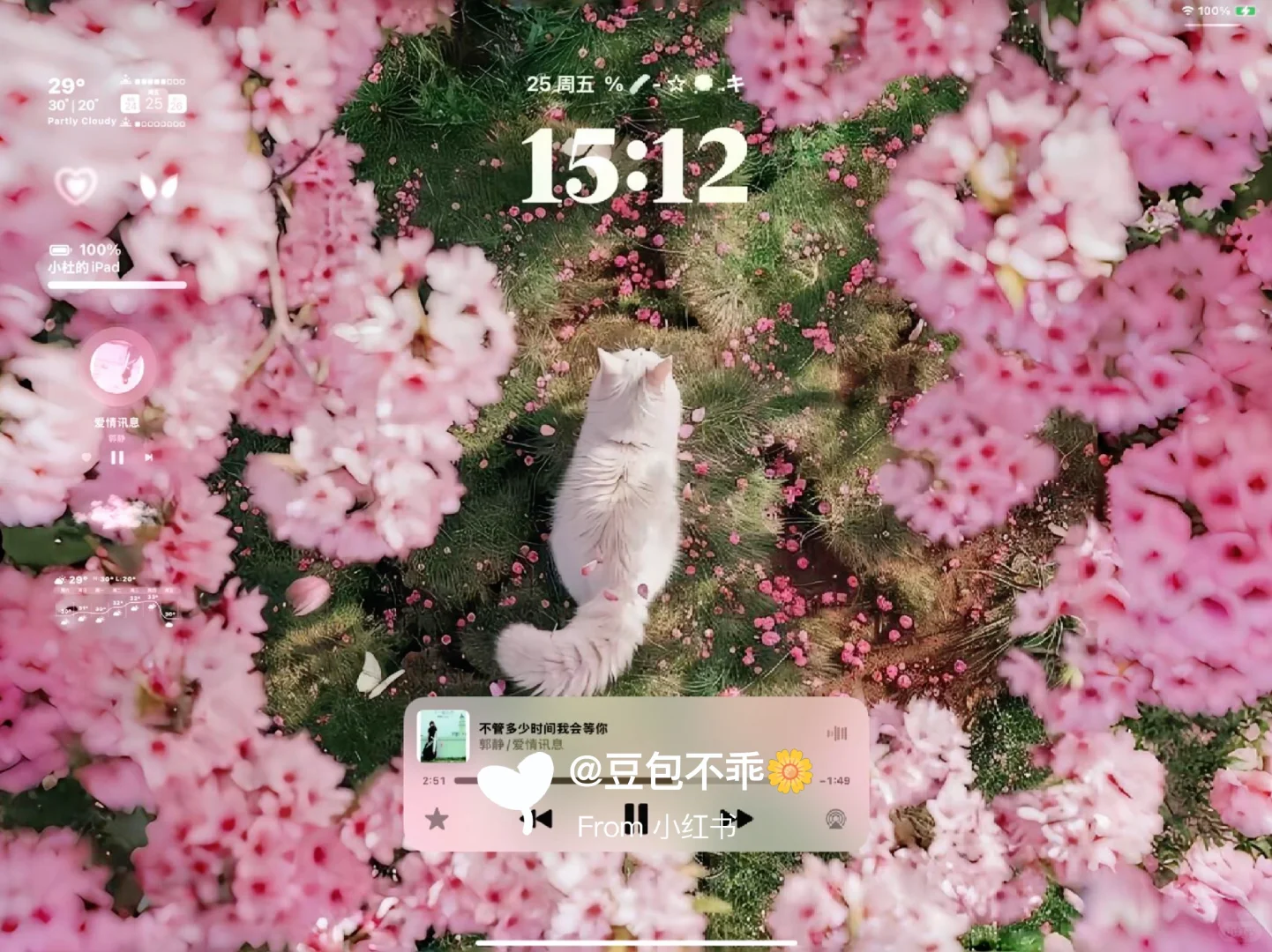  𝐒𝐡𝐚𝐫𝐞|生命力平板壁纸🌷