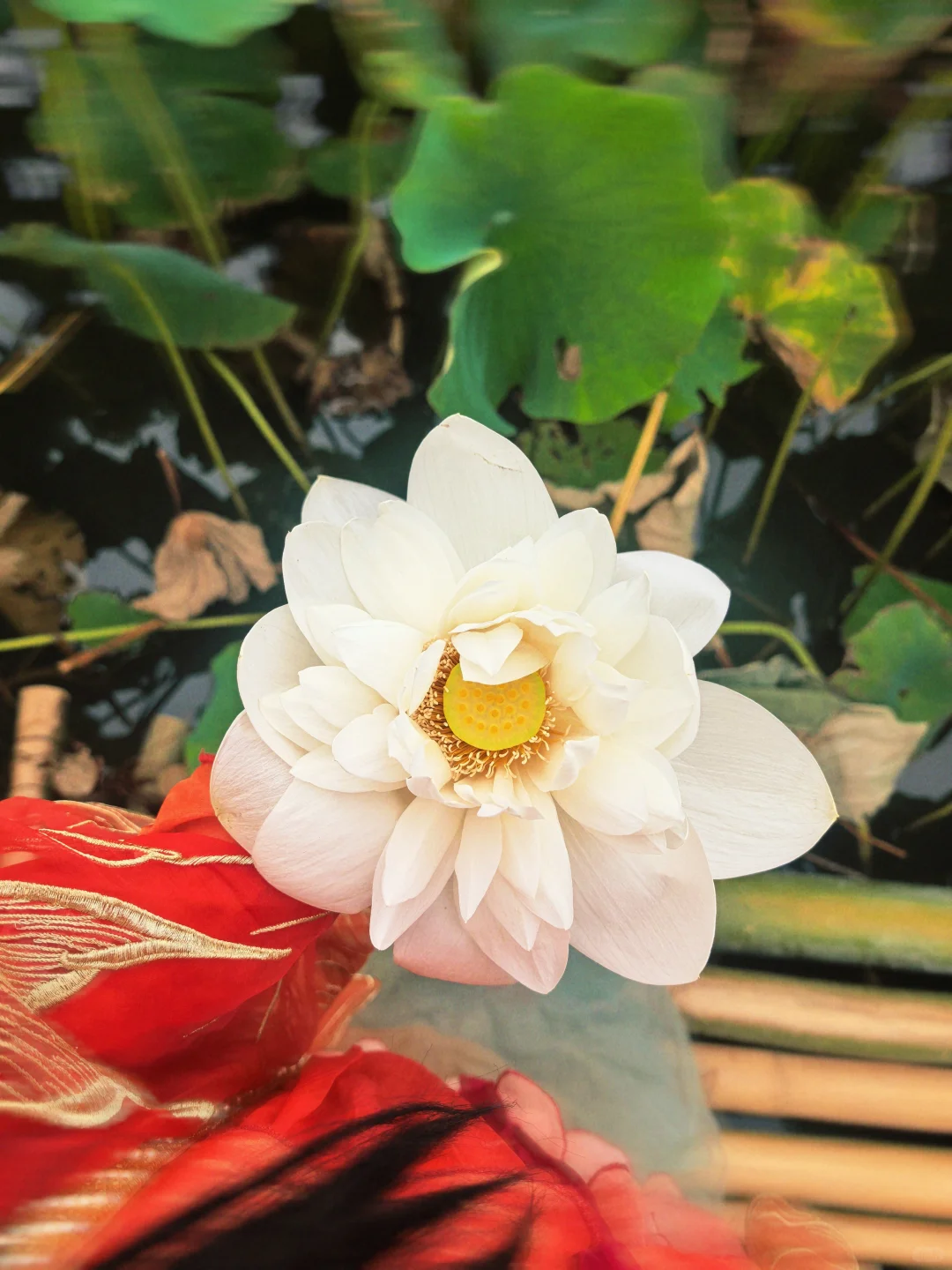 贵妃醉酒~