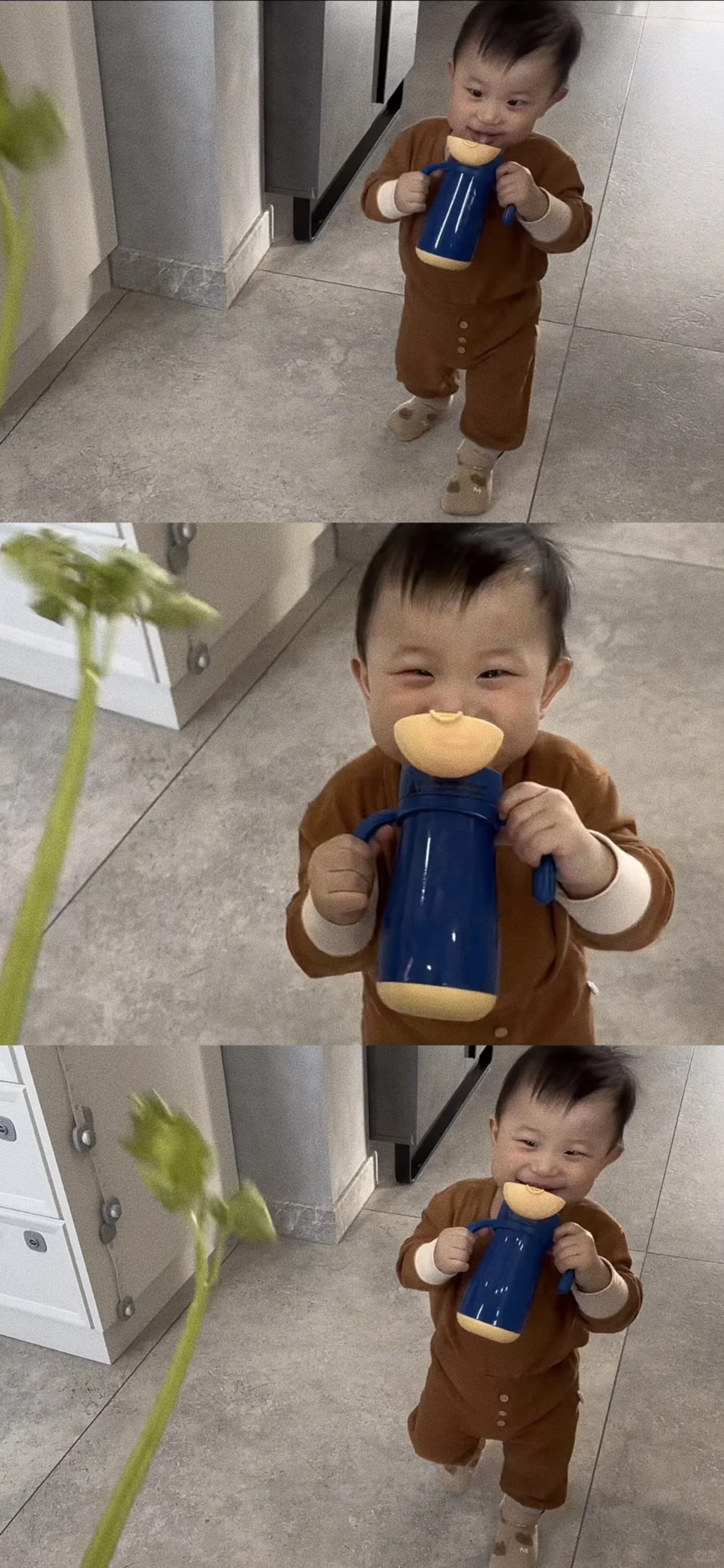 臭小子！到处抛媚眼！/壁纸