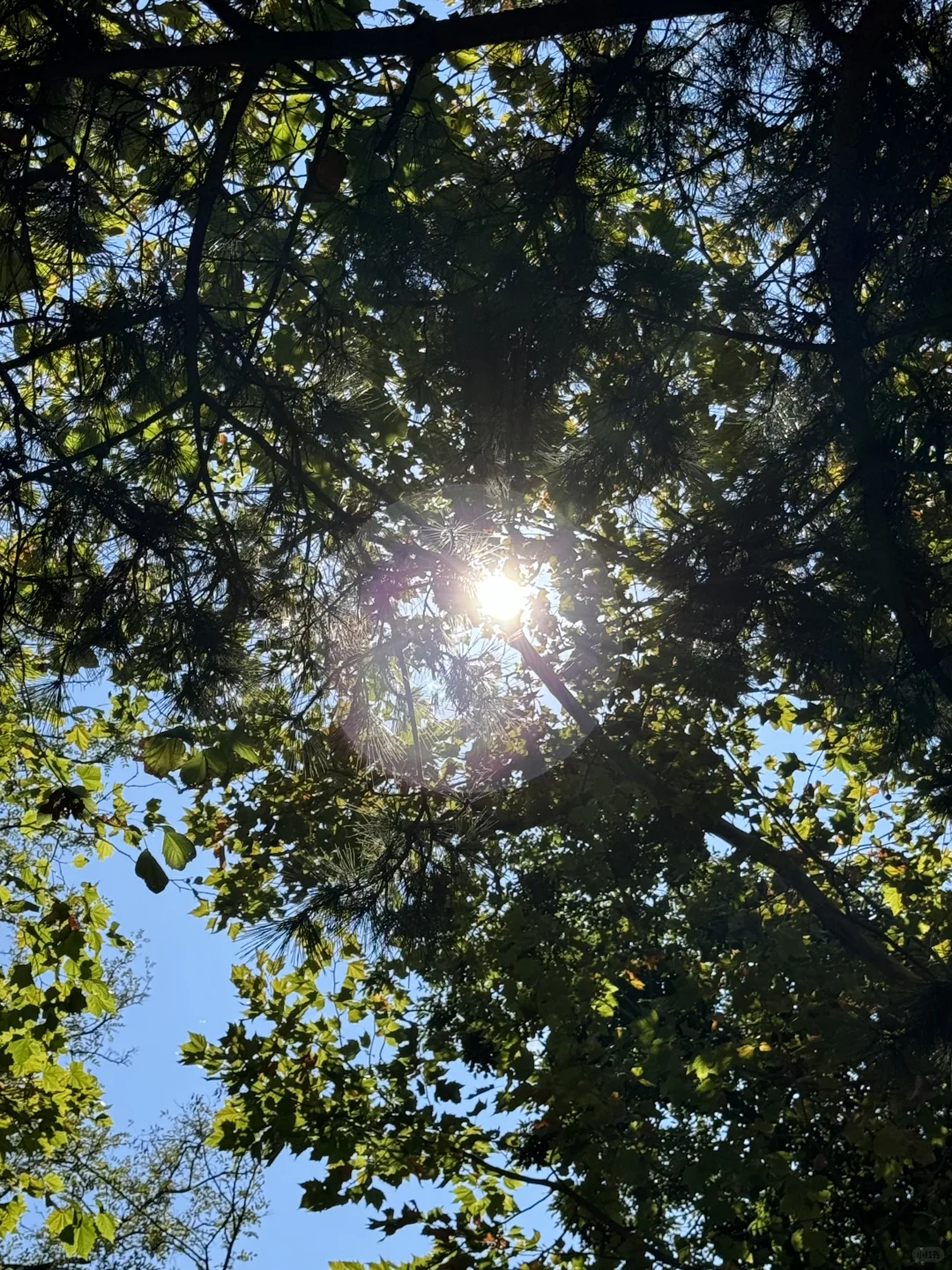 那些不露脸的氛围感