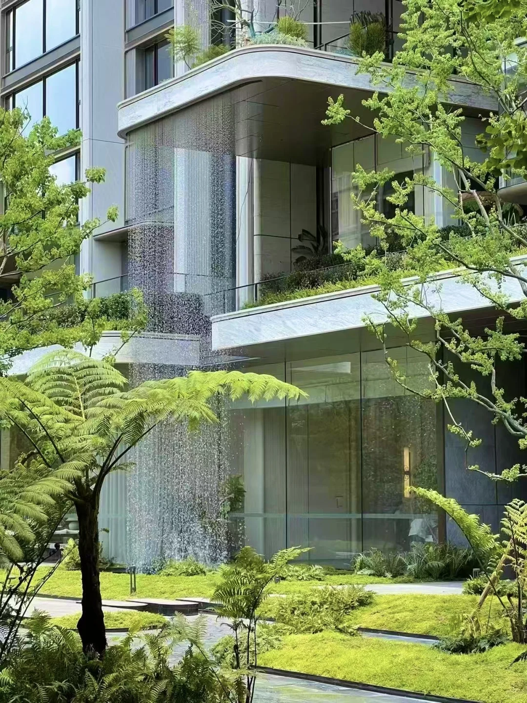 韭菜还是远见❓800万买槐树店❓新规❓顶流❓