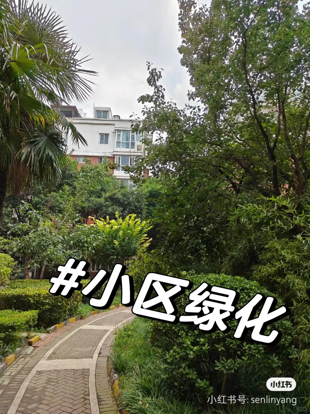 新房装修接近尾声，中原区现住房子出售
