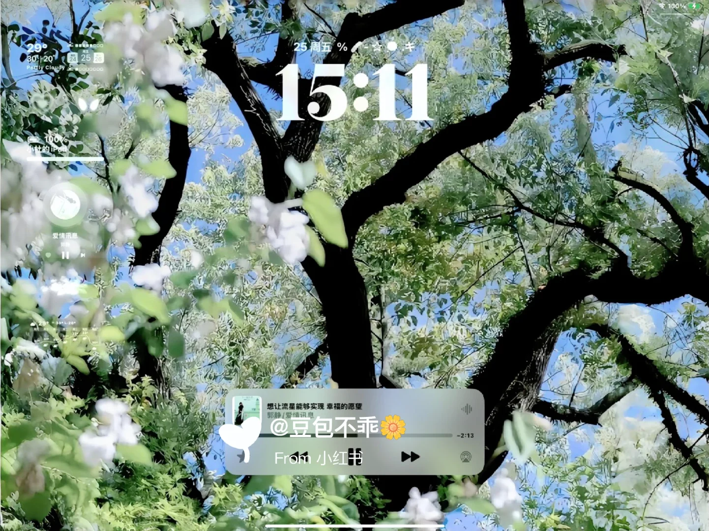  𝐒𝐡𝐚𝐫𝐞|生命力平板壁纸🌷
