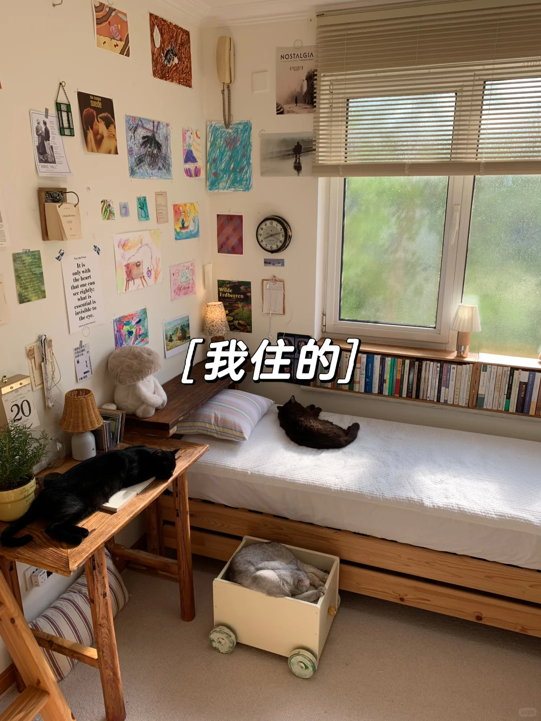 我租的vs我住的