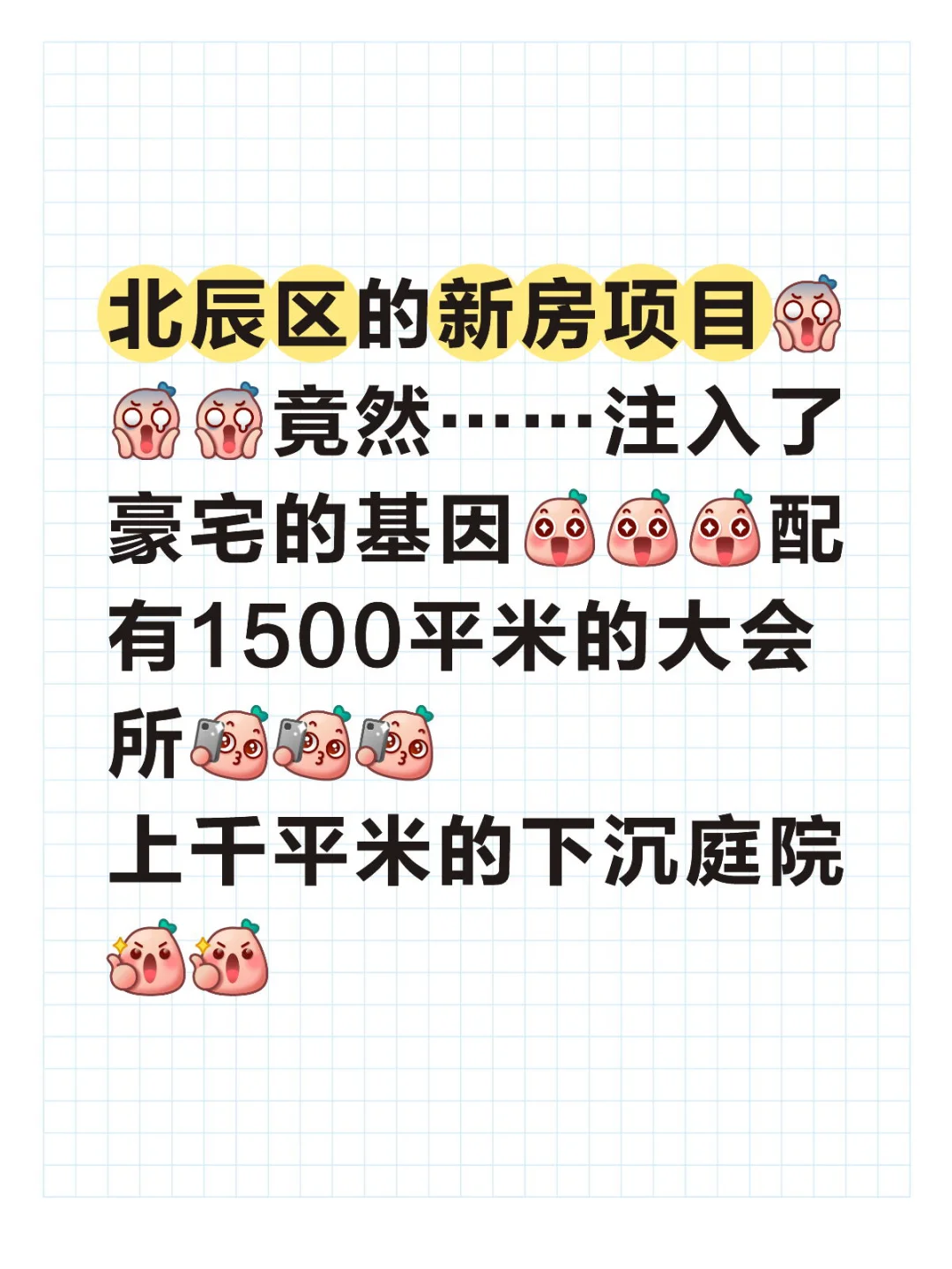 北辰区新房疯狂内卷🤪