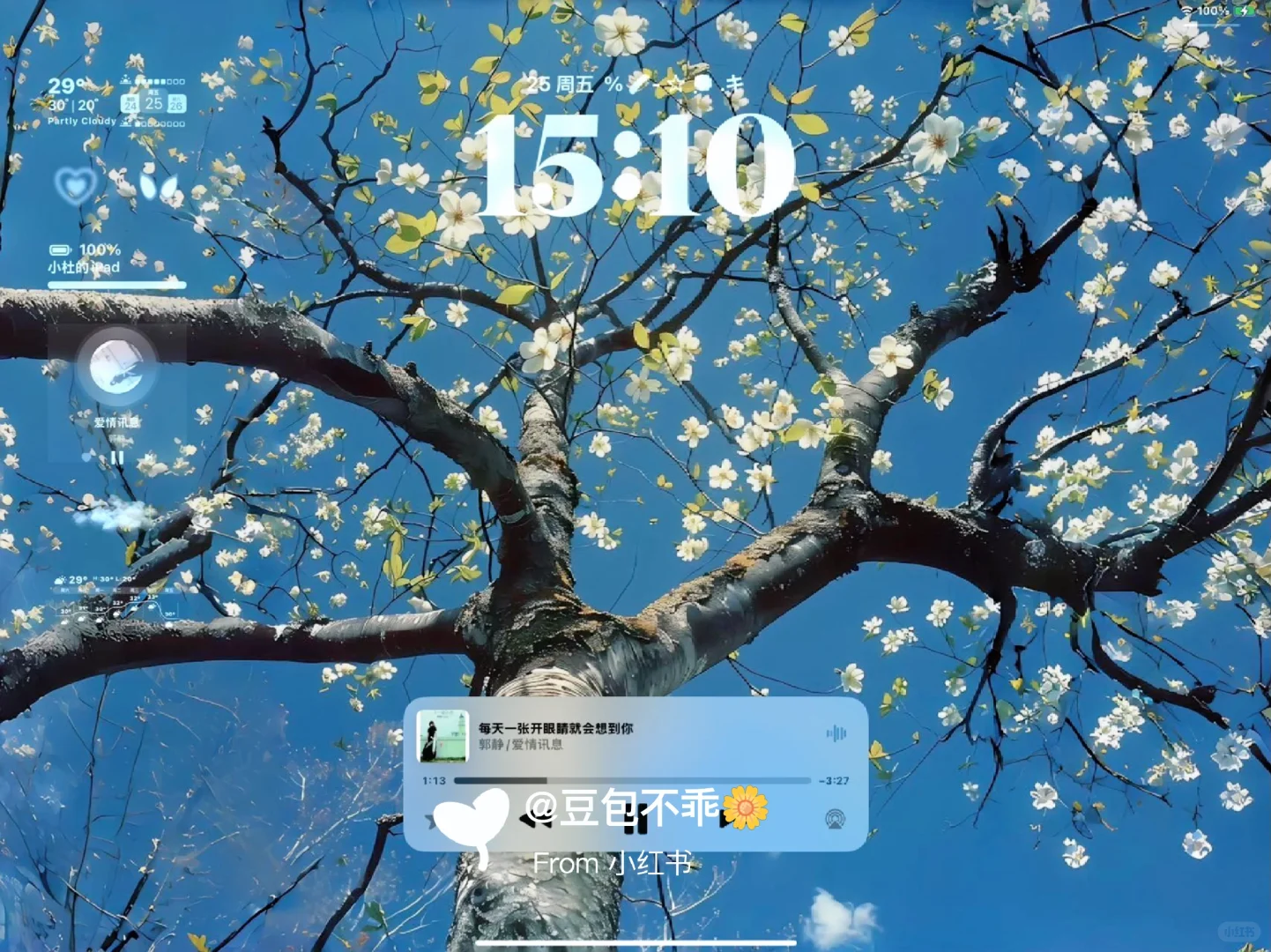  𝐒𝐡𝐚𝐫𝐞|生命力平板壁纸🌷