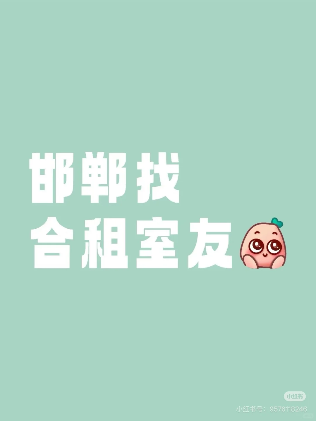 租房合租！合租！合租！