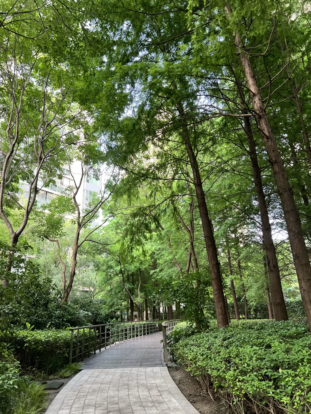 新江湾城有一种经济上行的美