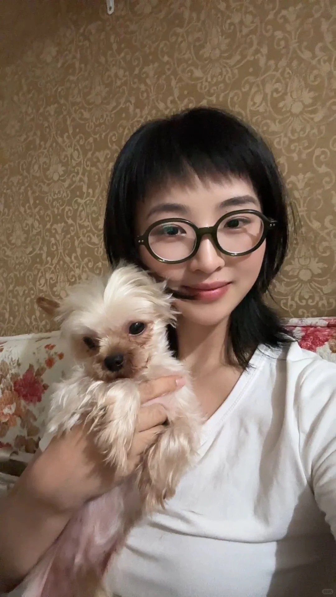 会抛媚眼的小狗 也太可爱了吧