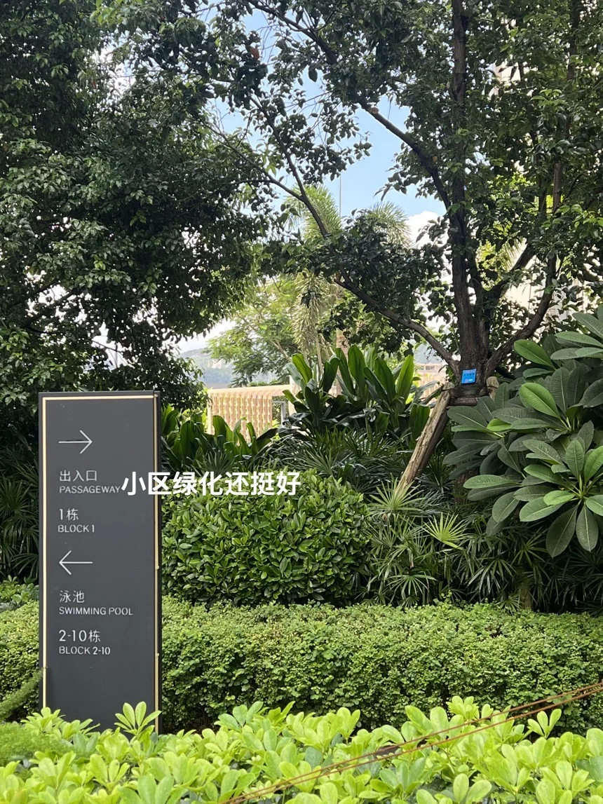 姐妹们，可以暂停手里的事，恭喜我一下嘛🎉
