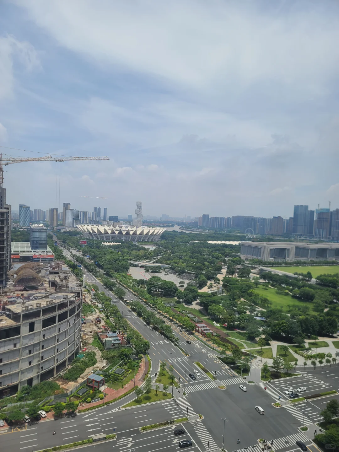世纪莲，32卖了