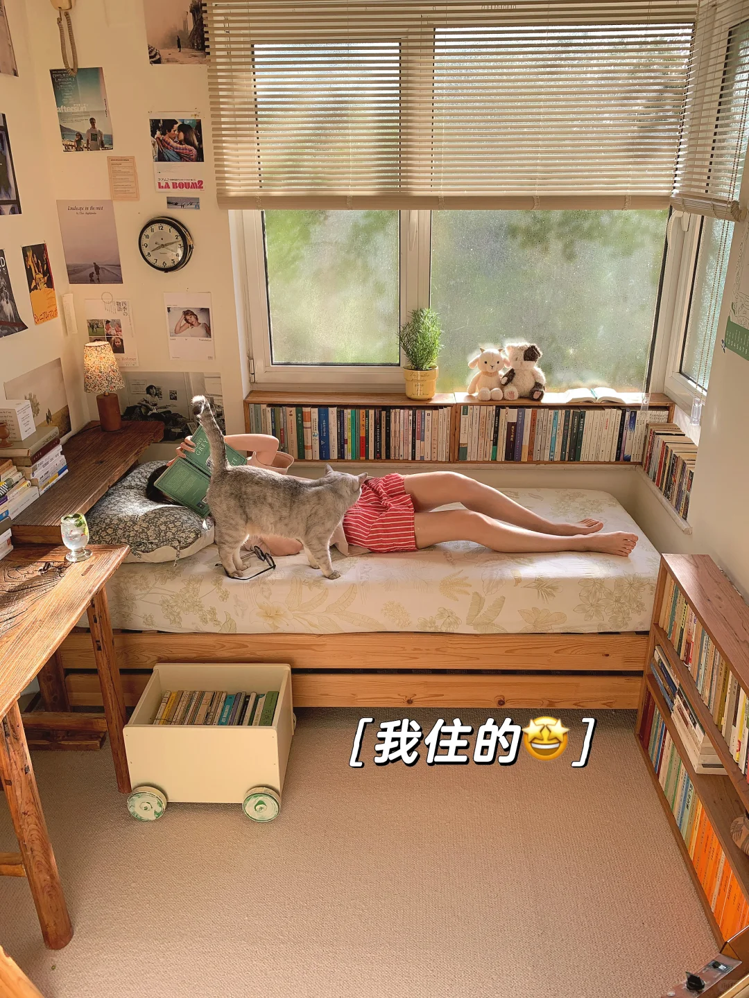 我租的vs我住的