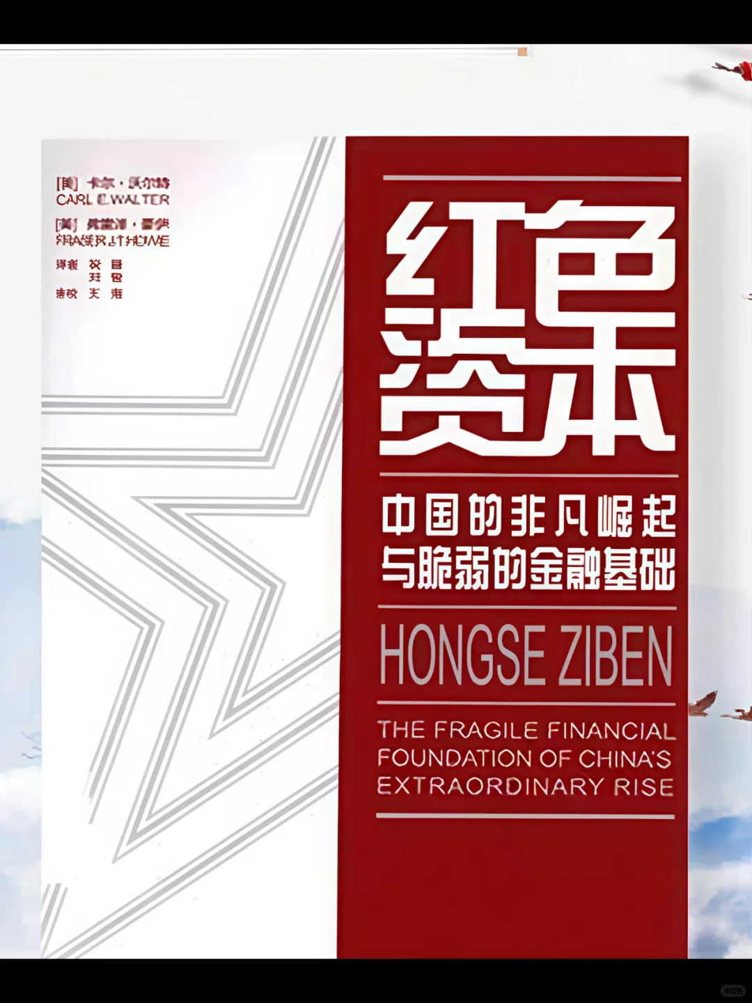 📚撕开繁荣表象！这本禁书揭开中国经济崛