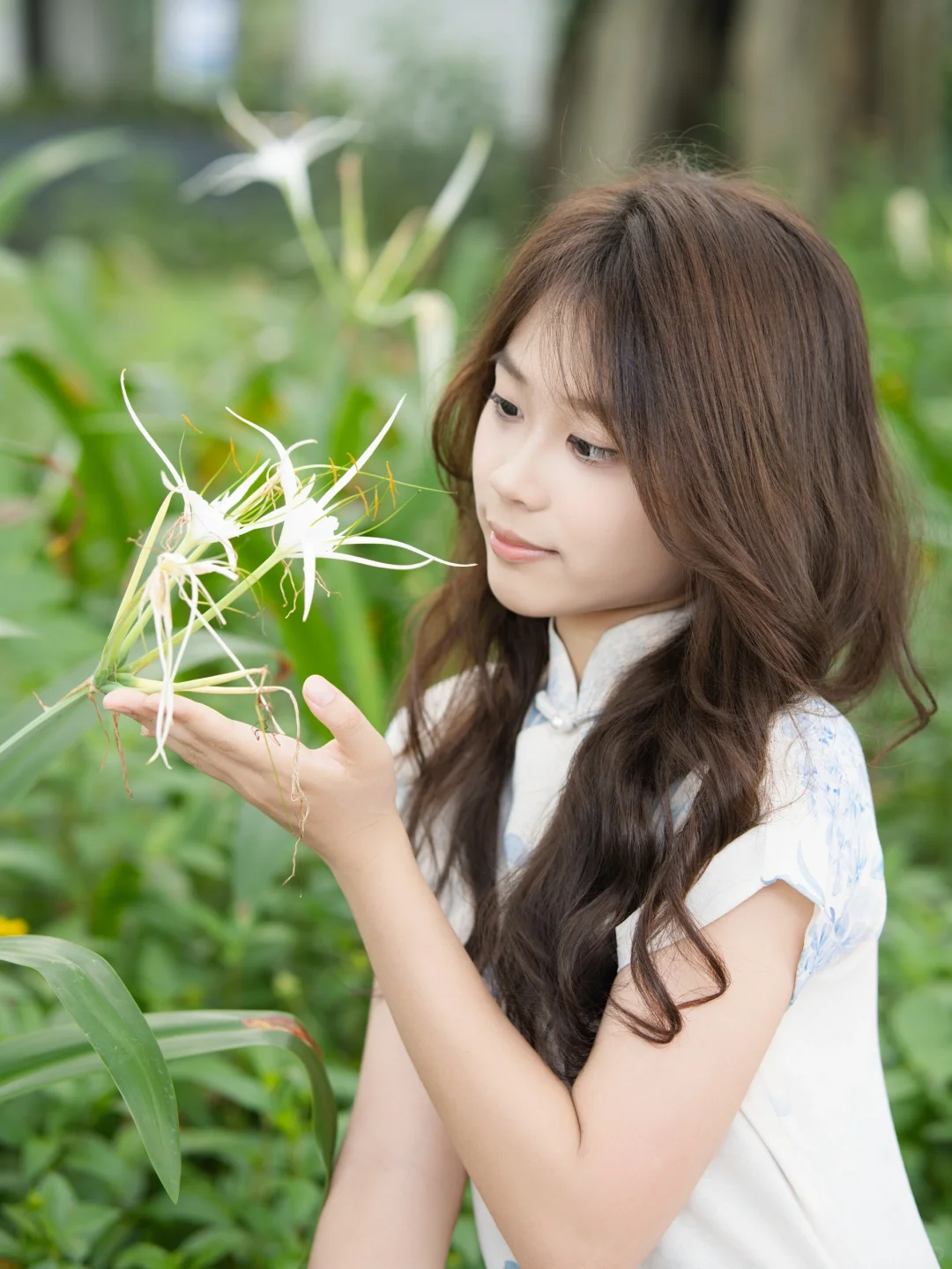 💙国风氛围感拉满！淡青花旗袍美人