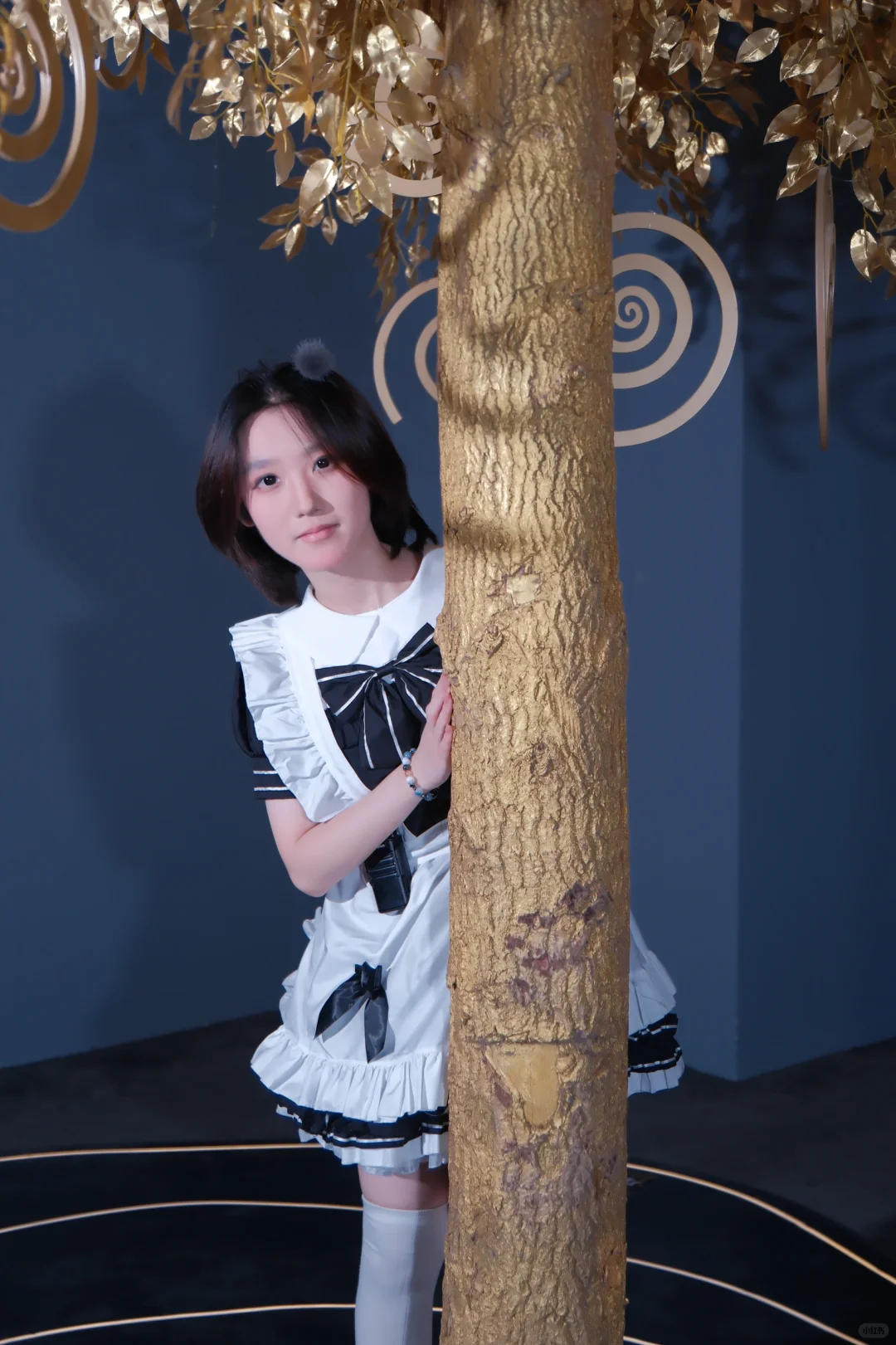 各种女仆