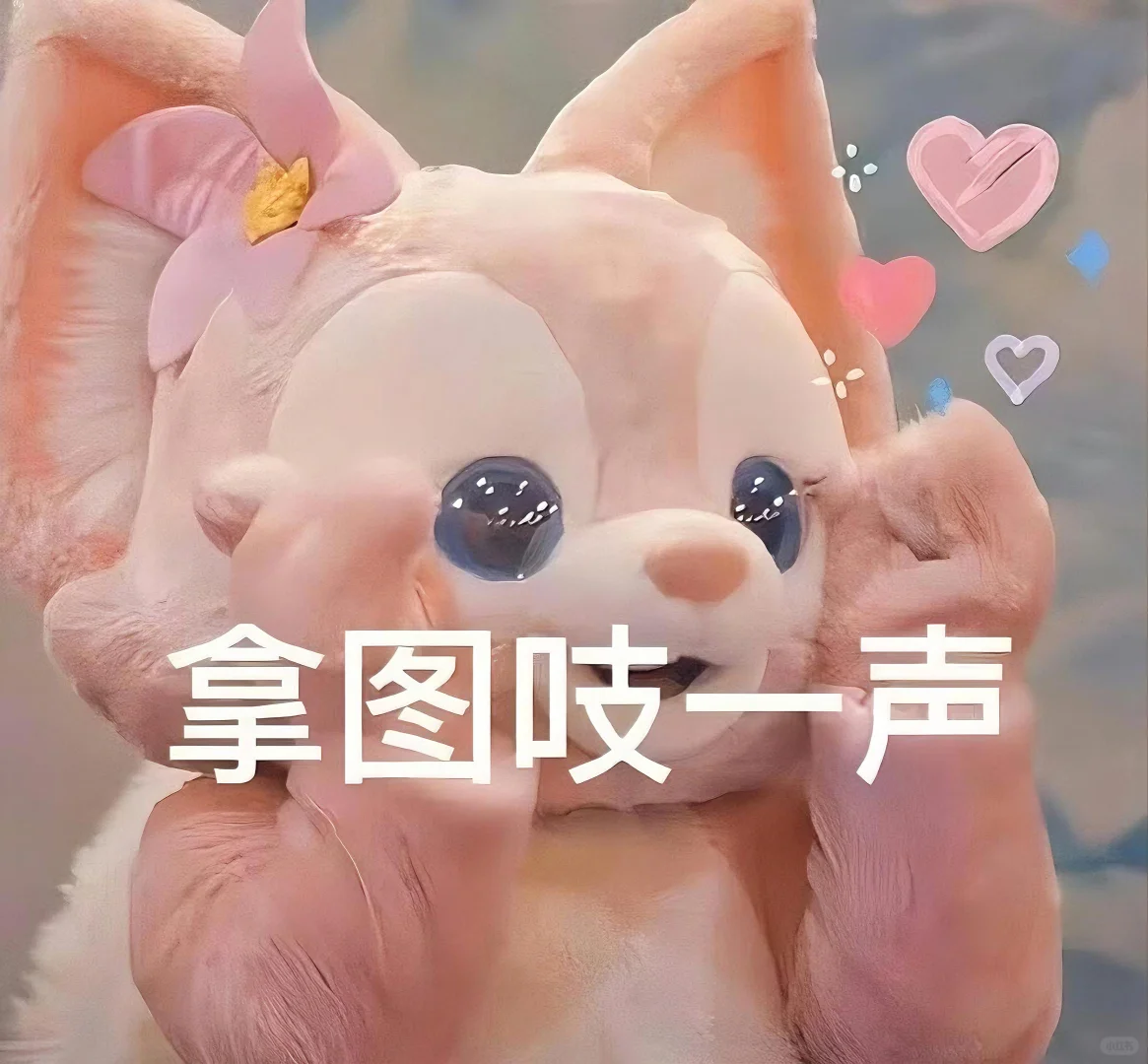 一些头像感照片｜女生头像🐹⍤