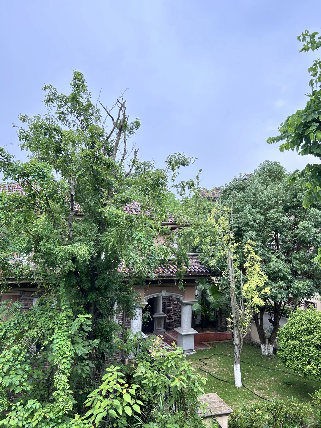 我的dream house