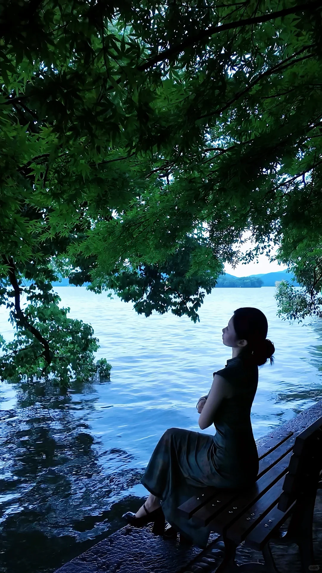 西湖边超美拍照机位打卡📷