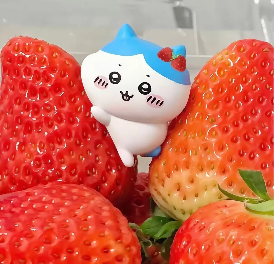𝙒𝙚𝘾𝙝𝙖𝙩 / 女头➕背景图🍒
