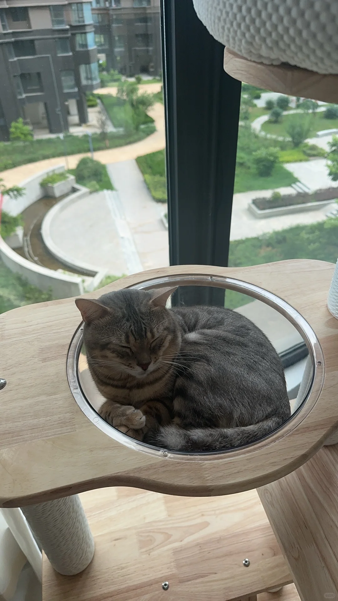 终于入住新房啦！🏠