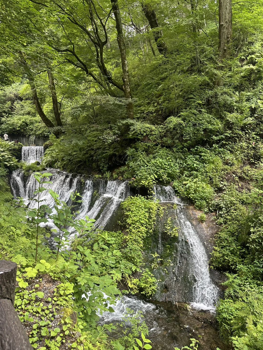 📍轻井泽の白丝瀑布