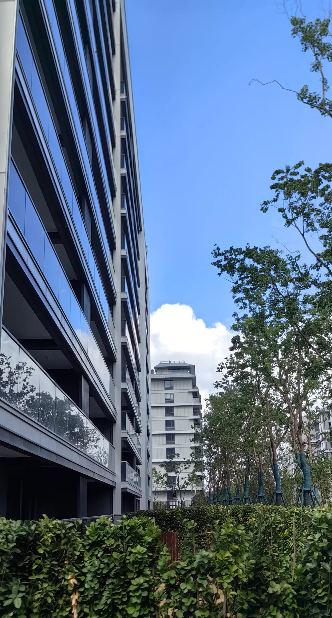 偷偷溜进新房，这就是以后的新家啦❤️