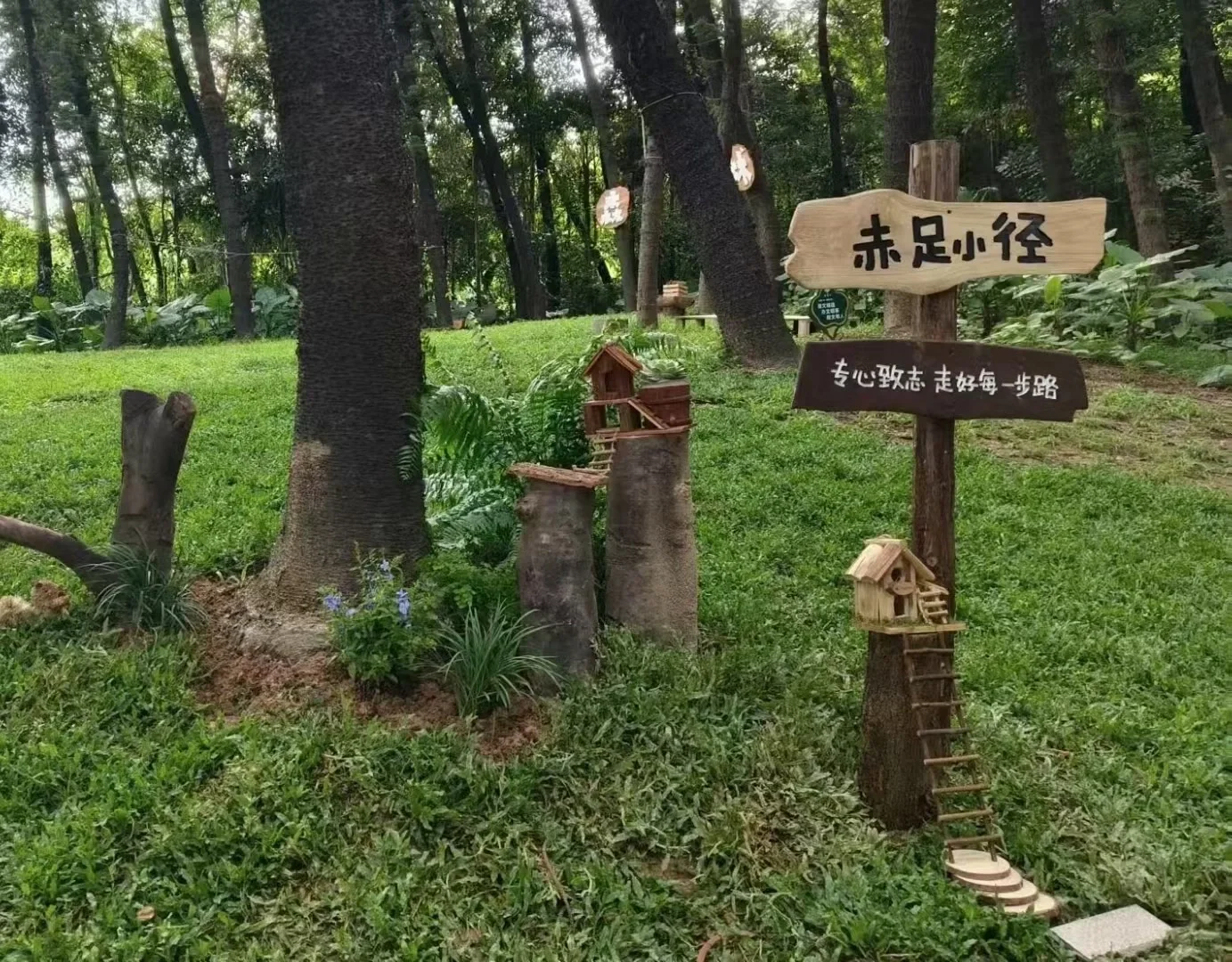 盛夏的森林主题画展｜接地Earthing