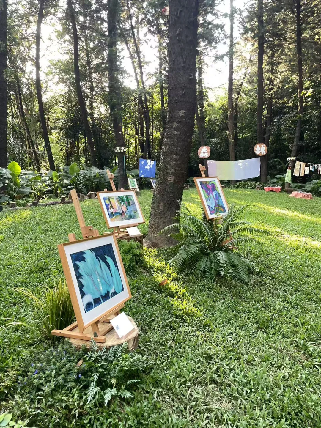 盛夏的森林主题画展｜接地Earthing