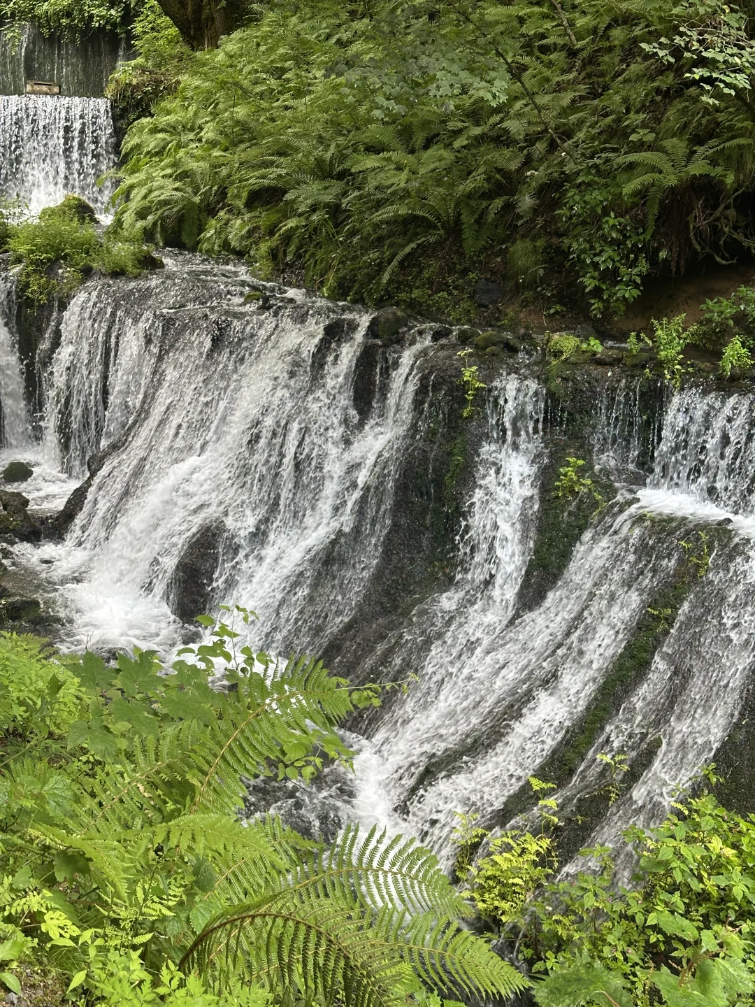 📍轻井泽の白丝瀑布