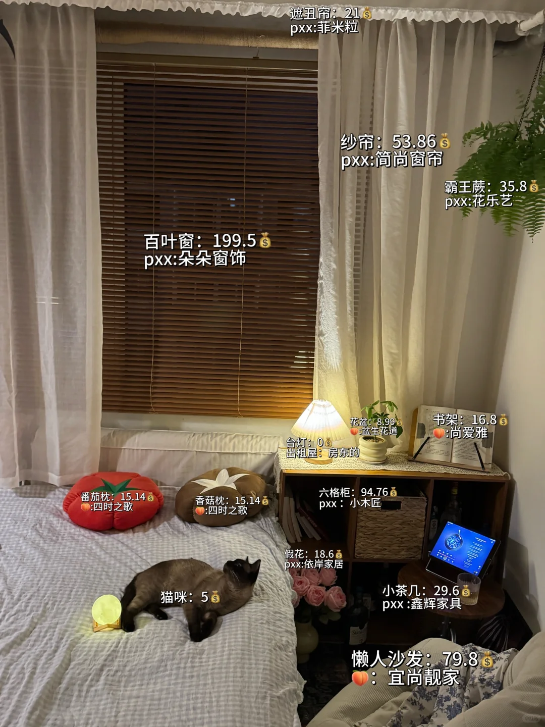 关于我花了500+给我的出租屋换了一套皮肤