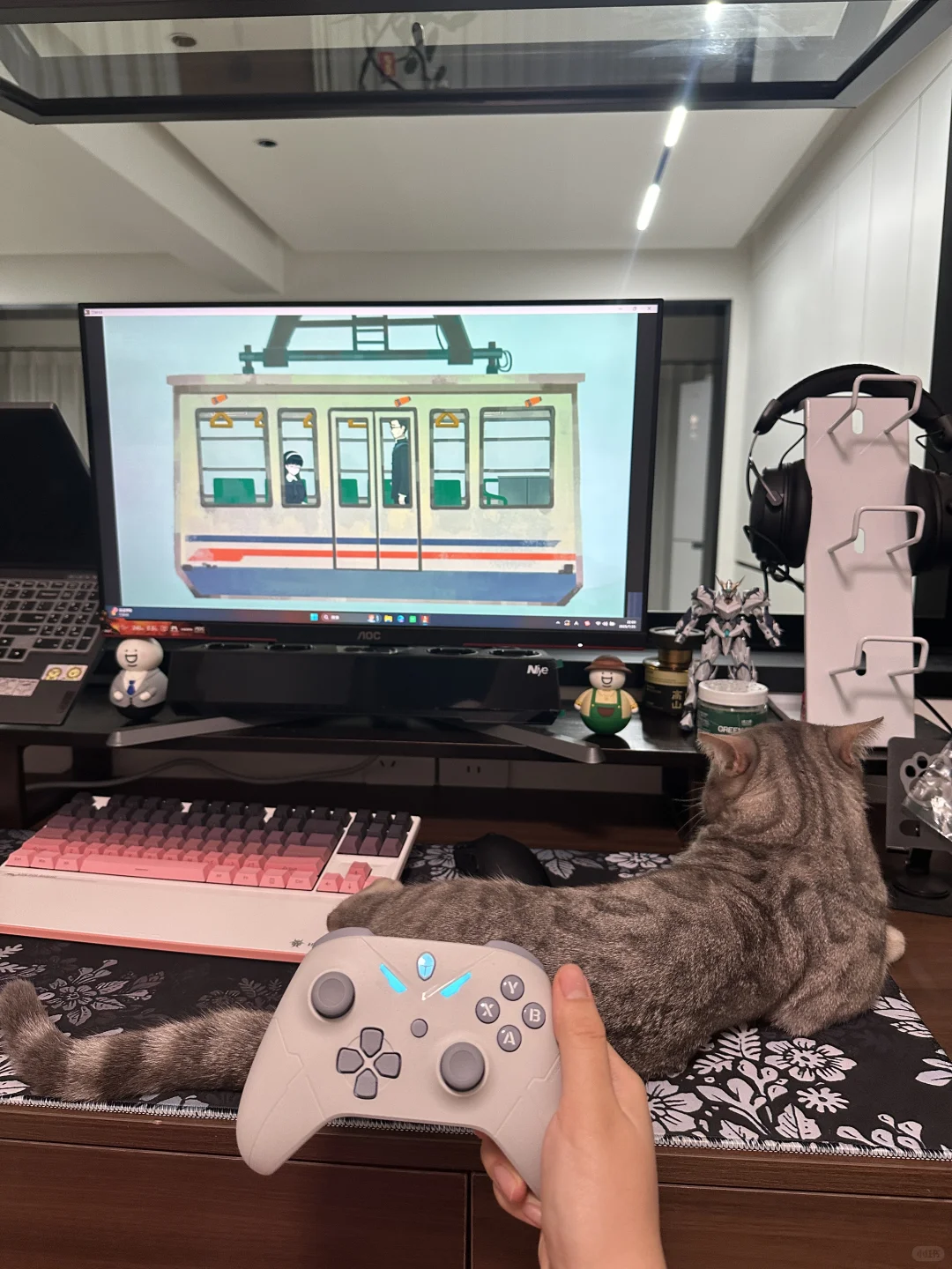 终于入住新房啦！🏠