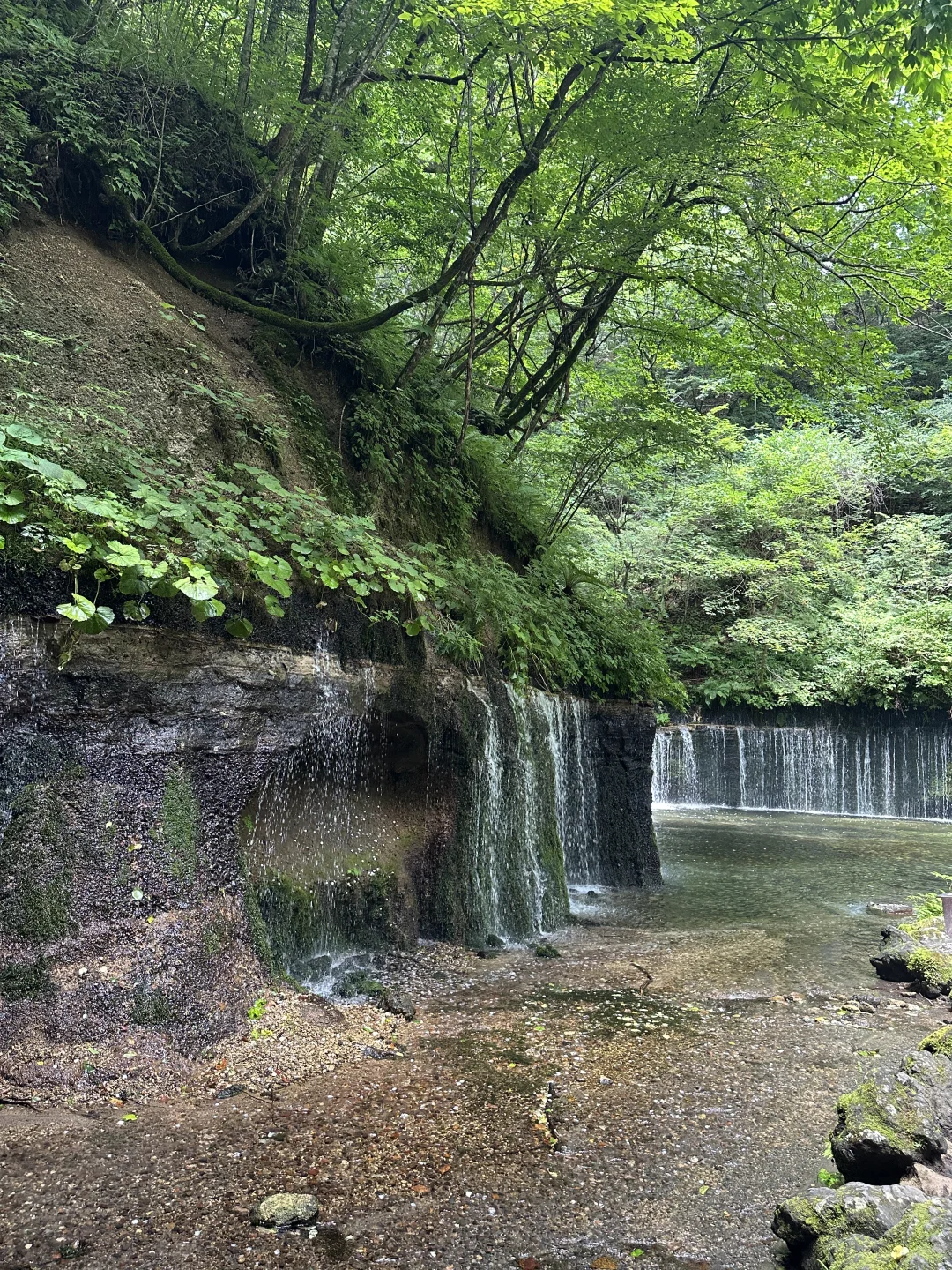 📍轻井泽の白丝瀑布