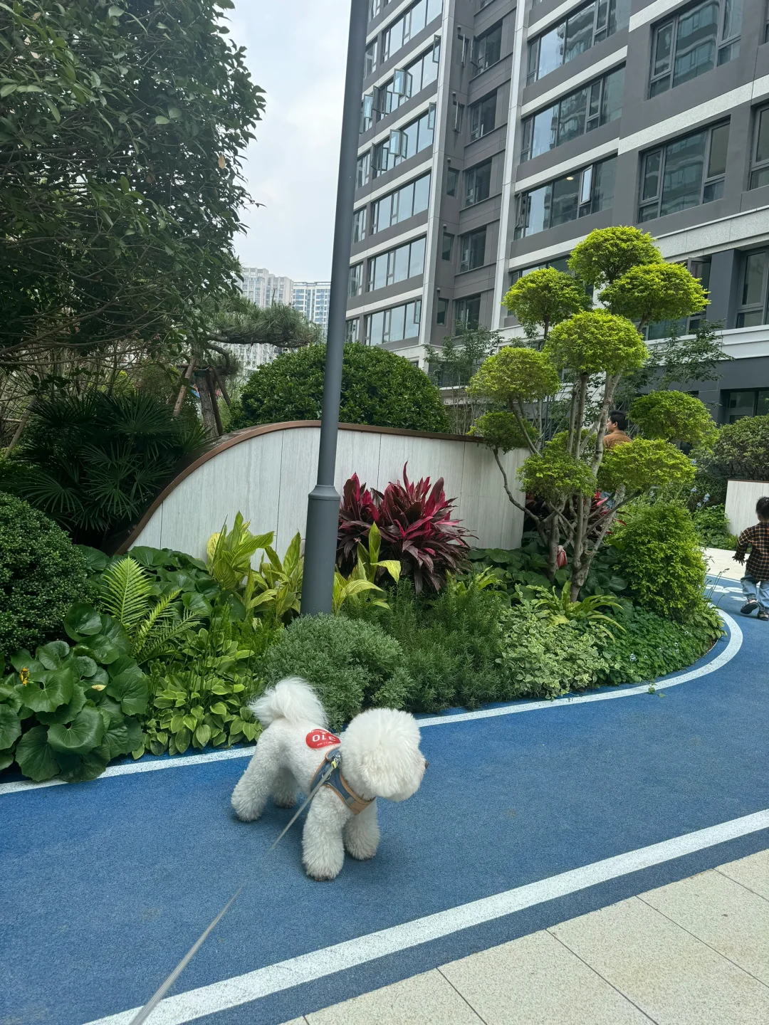新家的第三阶段业主开放日🏡🌳💐🪻🌷🌼🌸🌺