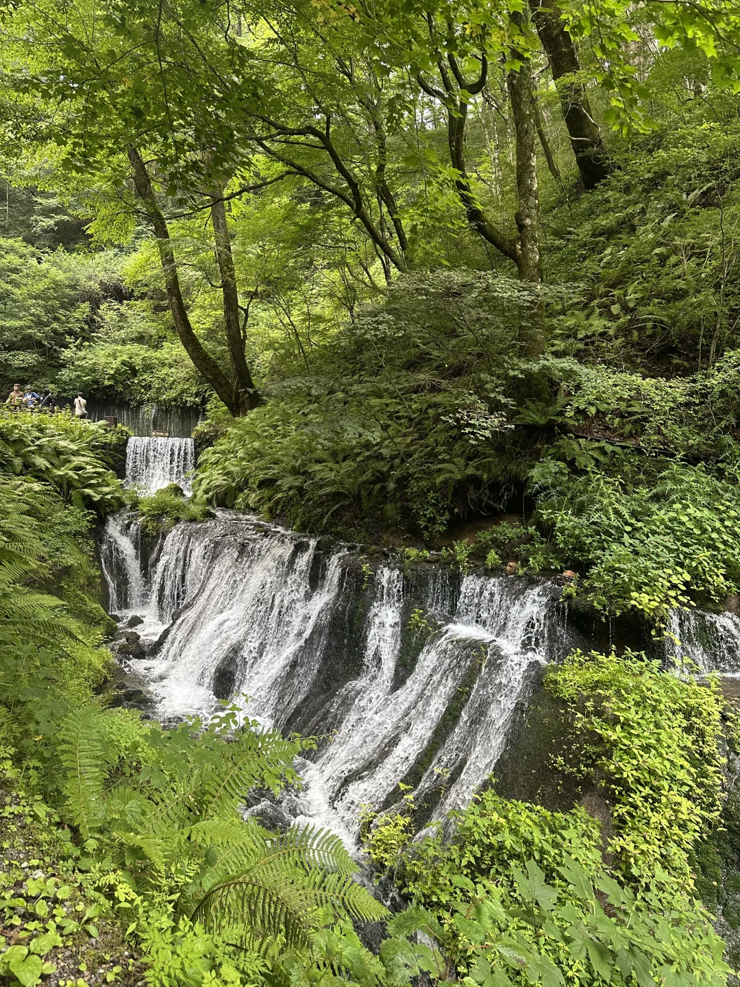 📍轻井泽の白丝瀑布