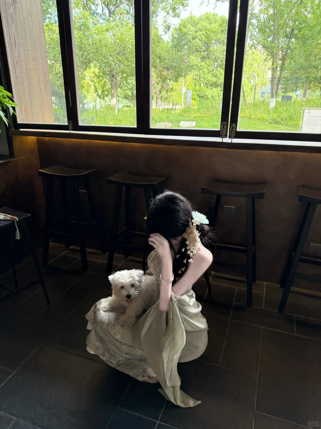 光落在绿意
