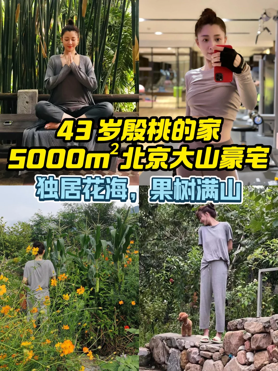 跟着明星学装修41｜43岁殷桃，5000平北京别墅