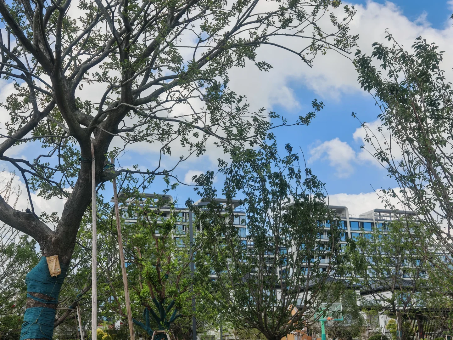 湖州看房日记新房篇