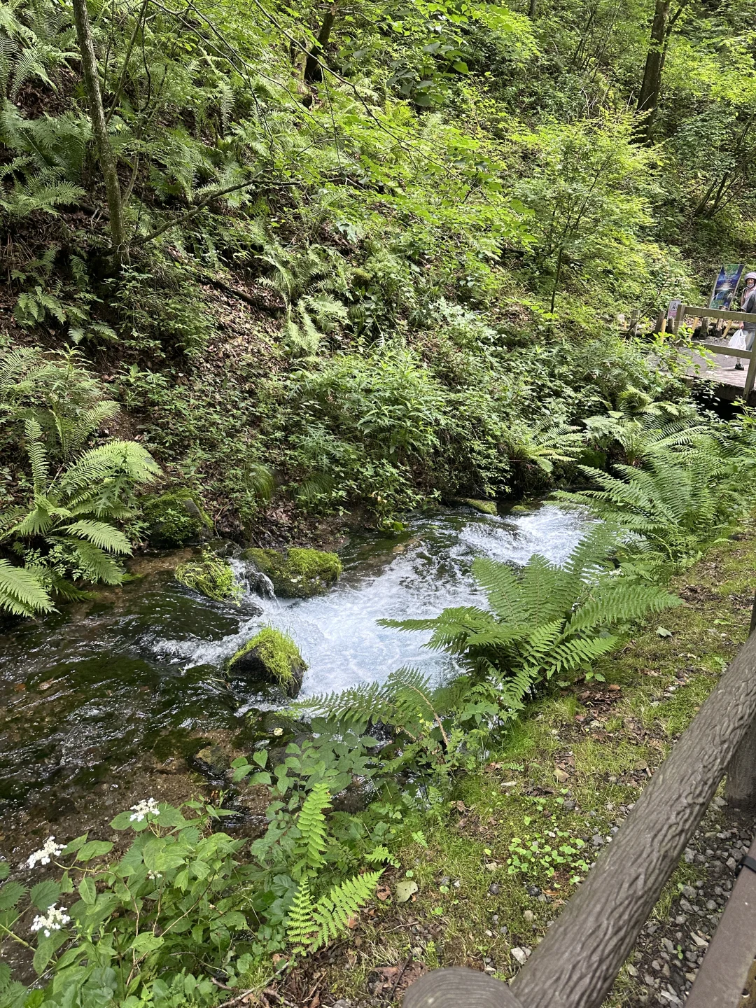 📍轻井泽の白丝瀑布