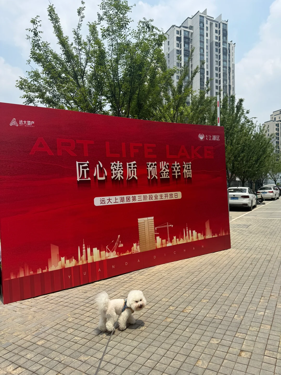 新家的第三阶段业主开放日🏡🌳💐🪻🌷🌼🌸🌺