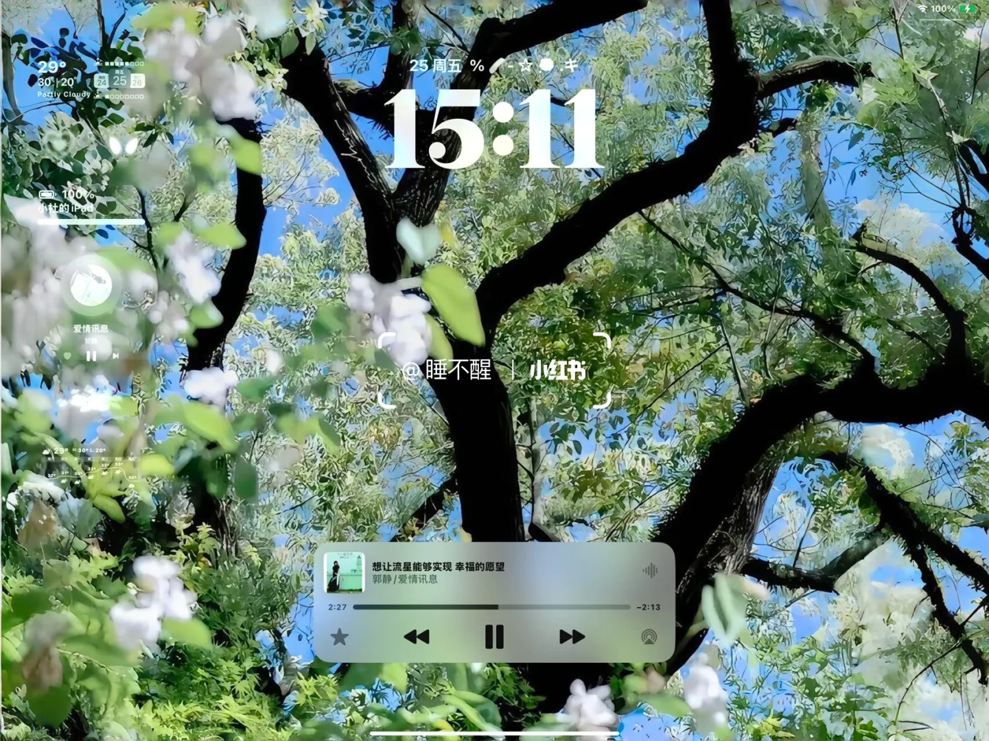 𝐒𝐡𝐚𝐫𝐞|生命力平板壁纸🌷