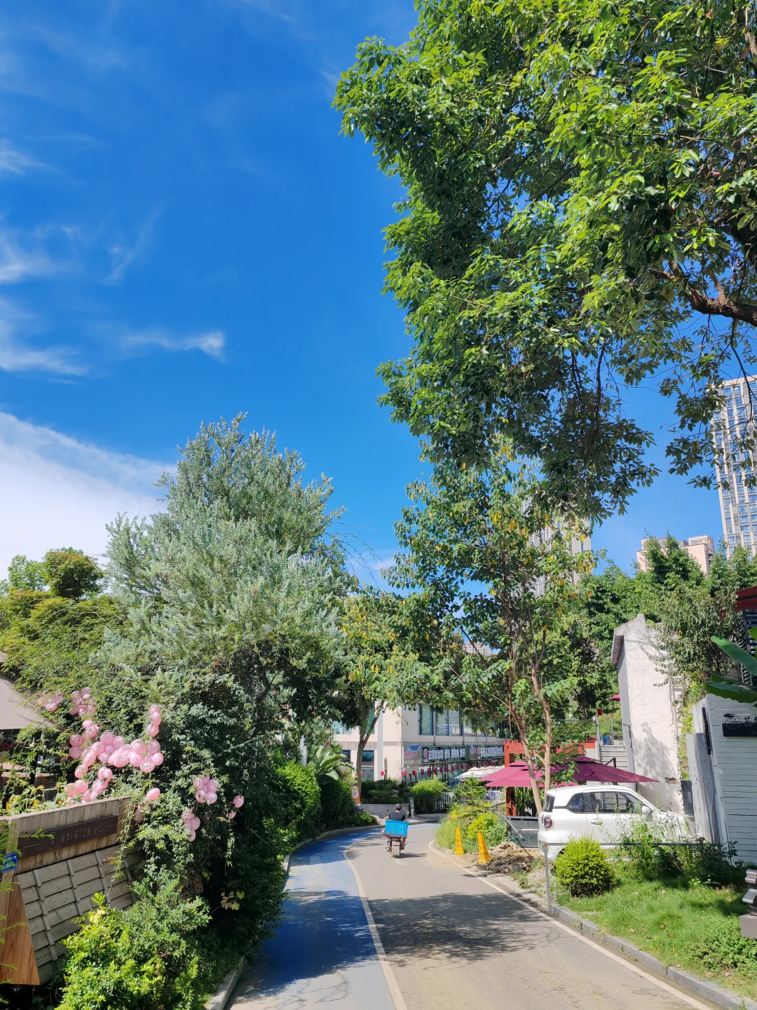 🏠验房大揭秘：别让低价毁了你的新房梦！