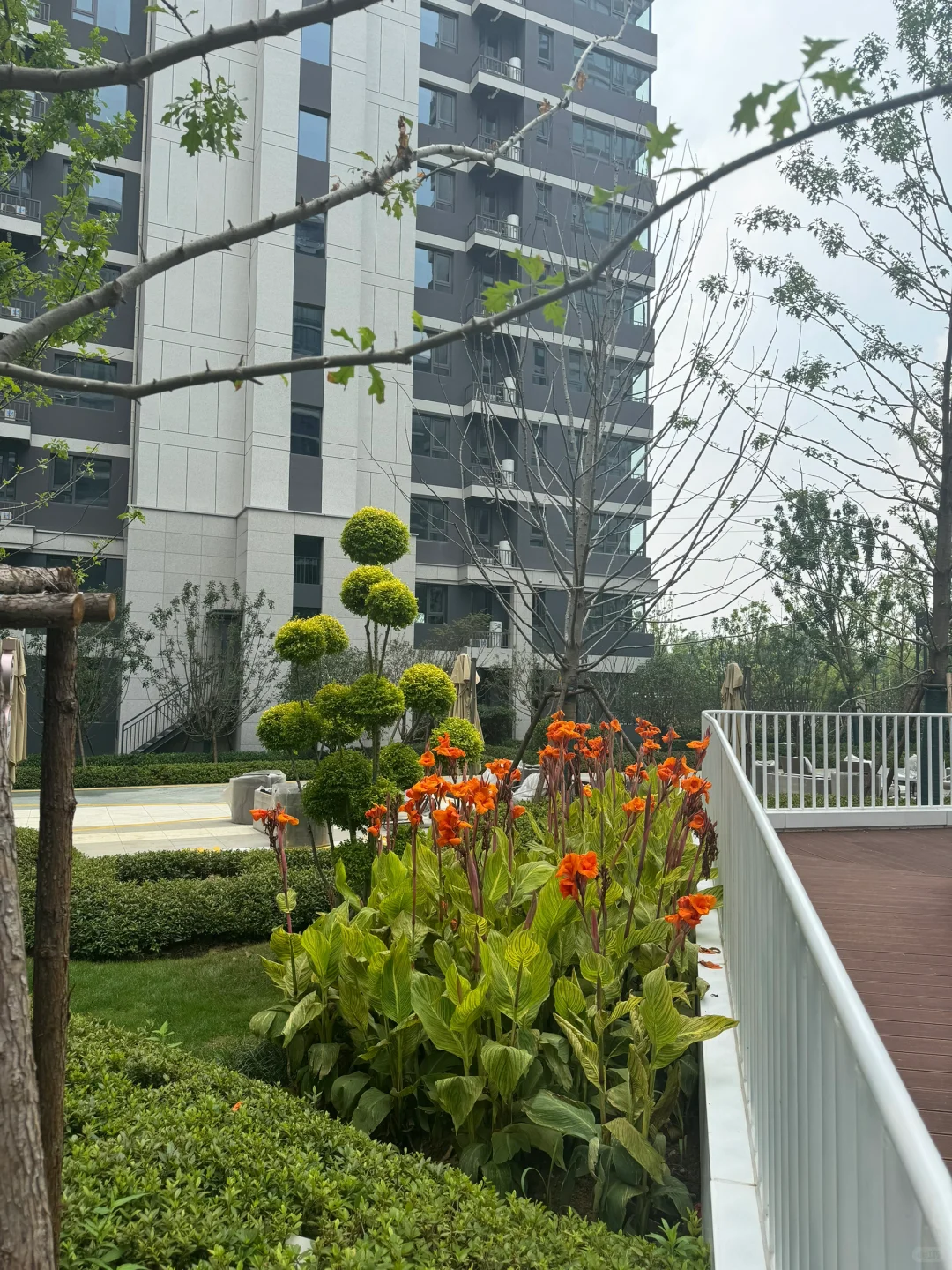 新家的第三阶段业主开放日🏡🌳💐🪻🌷🌼🌸🌺