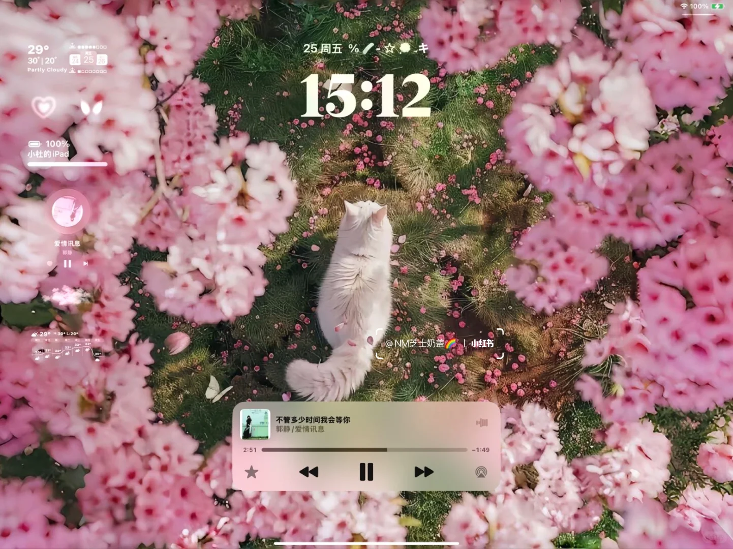  𝐒𝐡𝐚𝐫𝐞|生命力平板壁纸