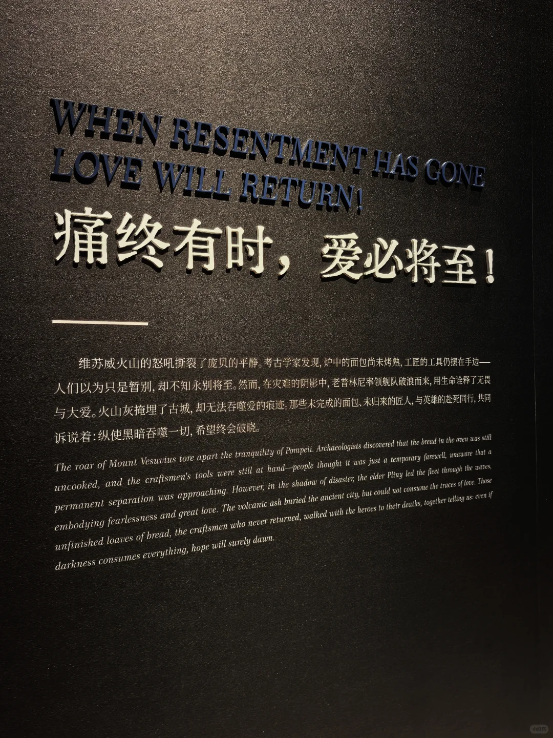 遇见庞贝｜请笃信：痛终有时，爱必将至！