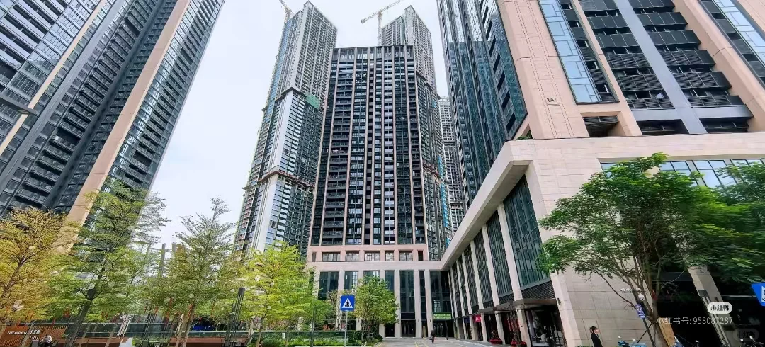 登顶中国最高住宅楼深业世纪山谷世家69层