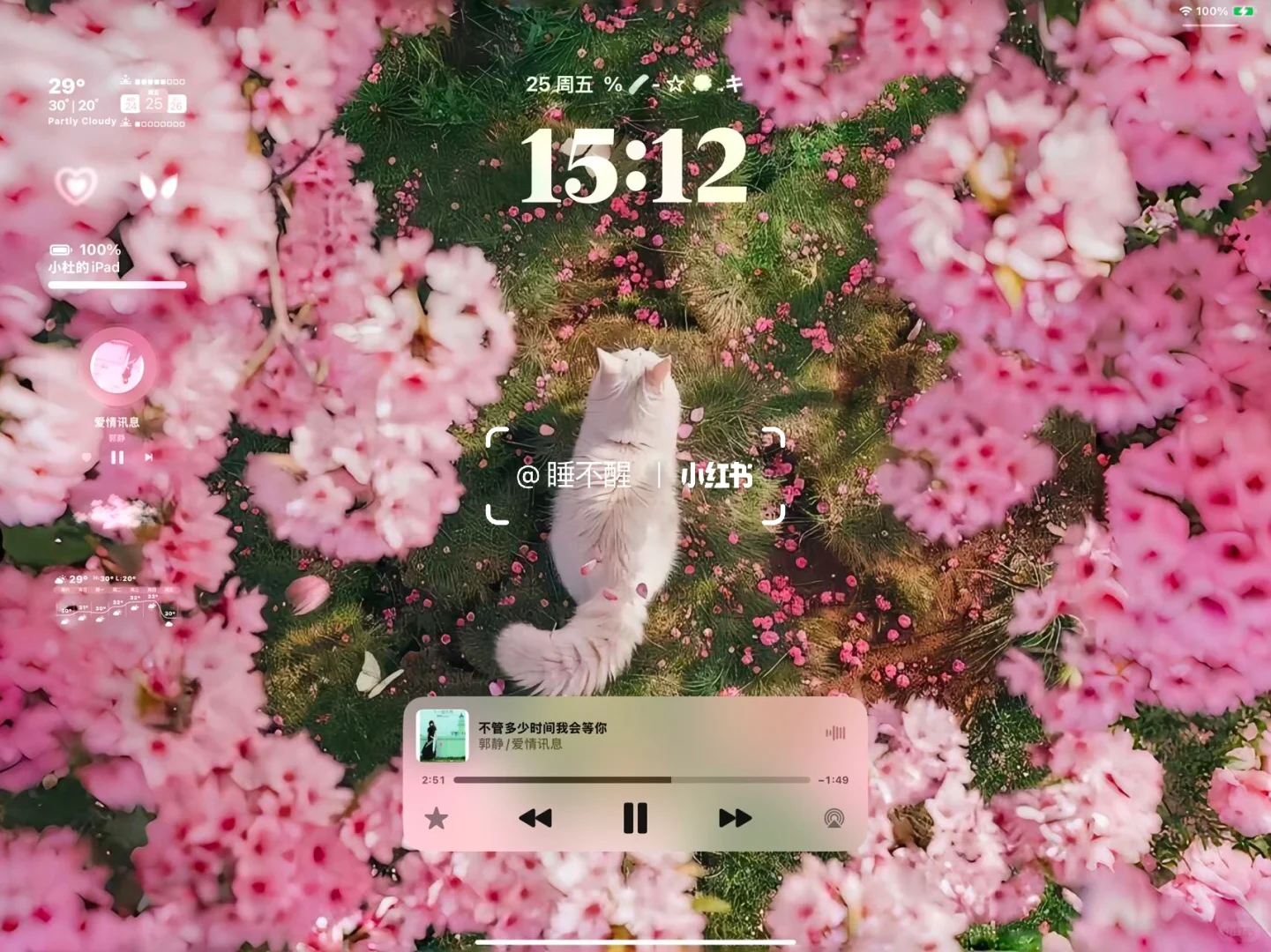 𝐒𝐡𝐚𝐫𝐞|生命力平板壁纸🌷
