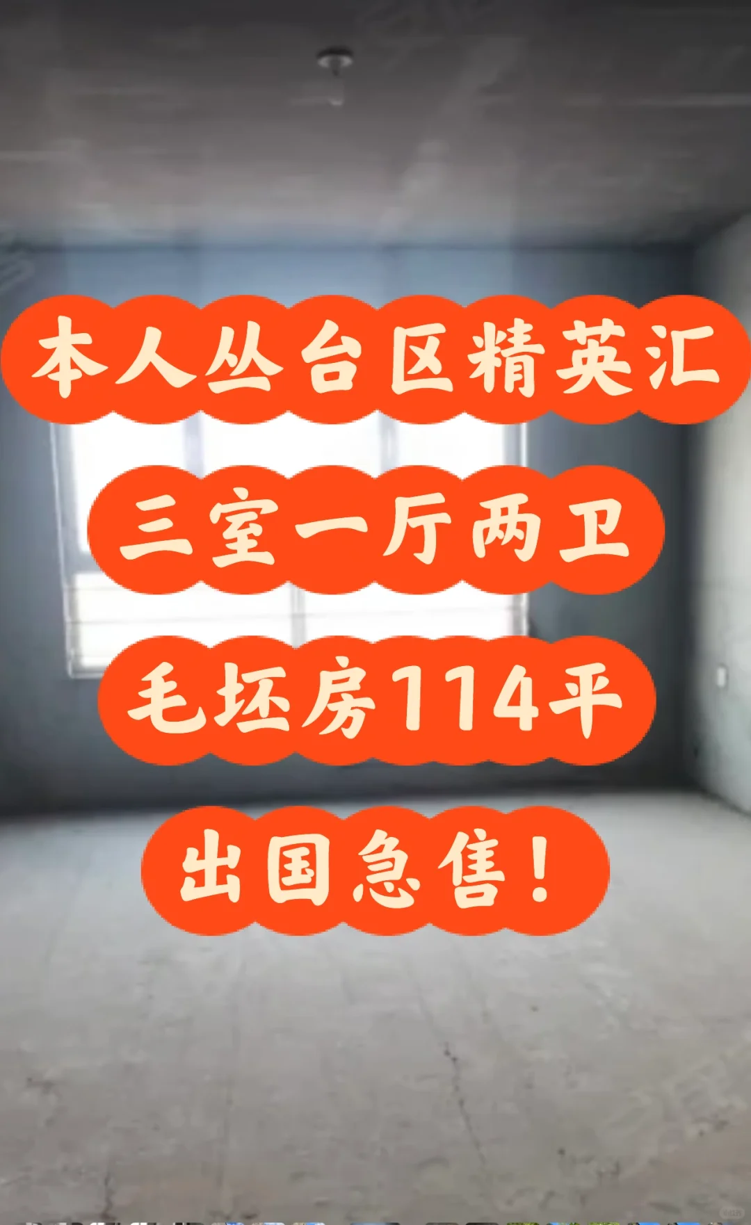 出国急售 邯郸市丛台区 精英汇114方