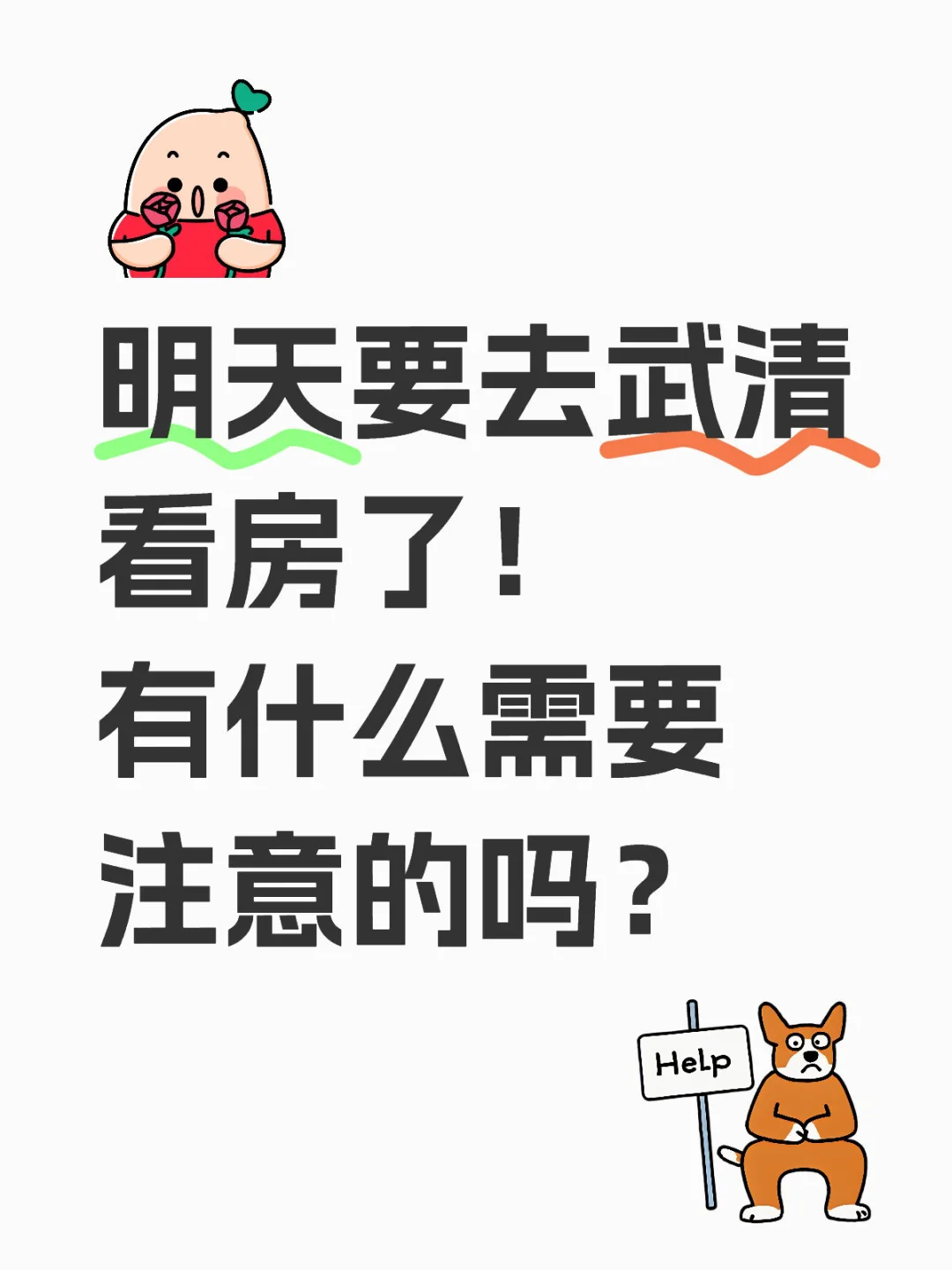 明天去武清看房需要注意什么？