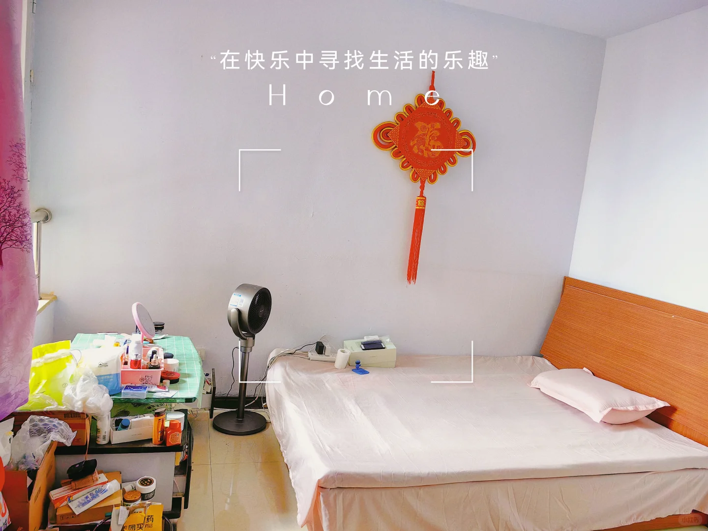 合租 招室友啦