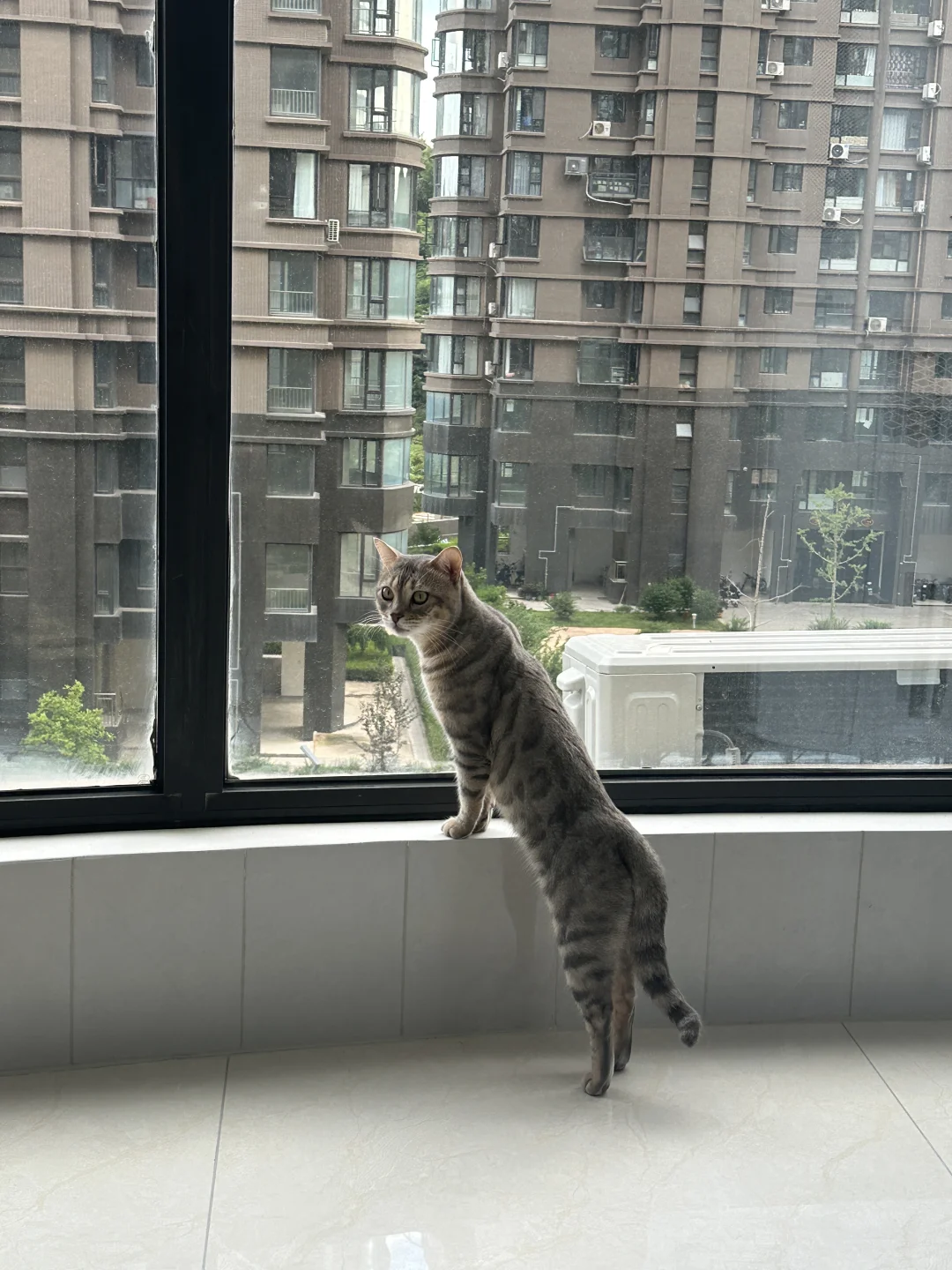 终于入住新房啦！🏠